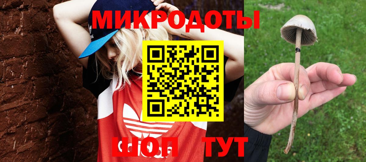 Галлюциногенные грибы Psilocybe  Вход с VPN  Усолье-Сибирское  Псилоцибиновые грибы Psilocybe 